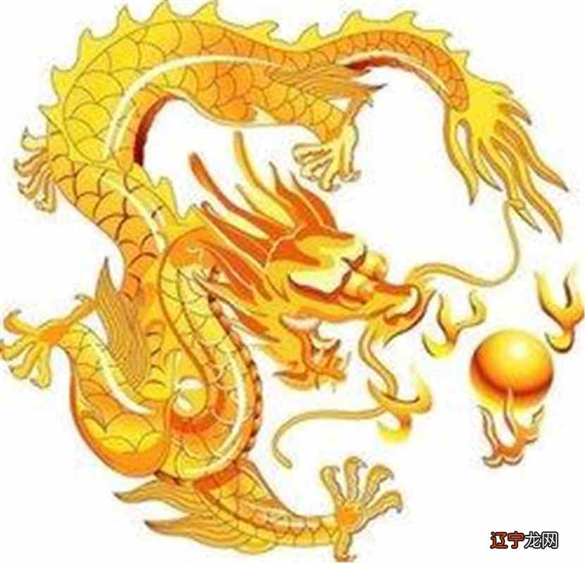 属龙的几月出生最好