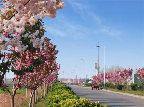 饮山海如酒，敬岁月温柔——胶东小院重温小时候民俗传说