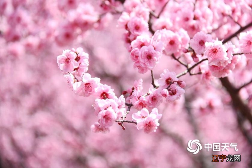 饮山海如酒,敬岁月温柔——胶东小院重温小时候民俗传说