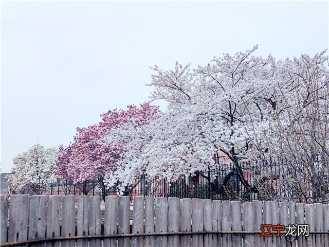 饮山海如酒，敬岁月温柔——胶东小院重温小时候民俗传说