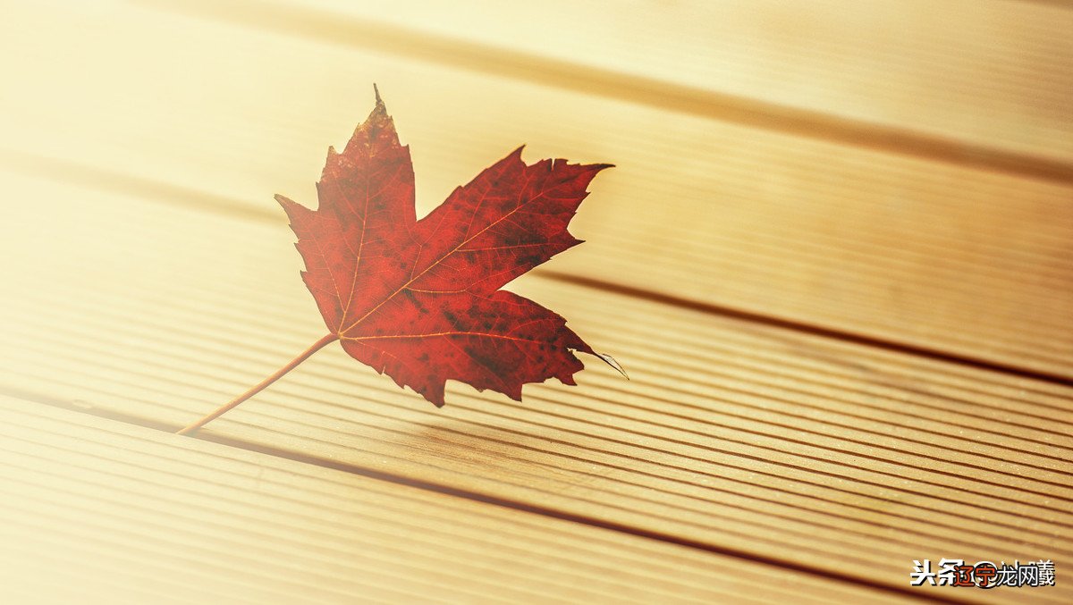 土象风水堂:土象一个星座的“隐匿”属性