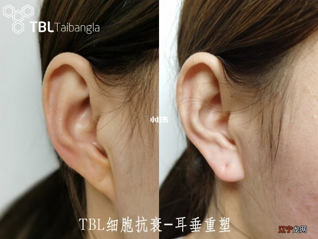 男人鼻子大鼻孔大面相_男人腮大面相_大富大贵的男人面相