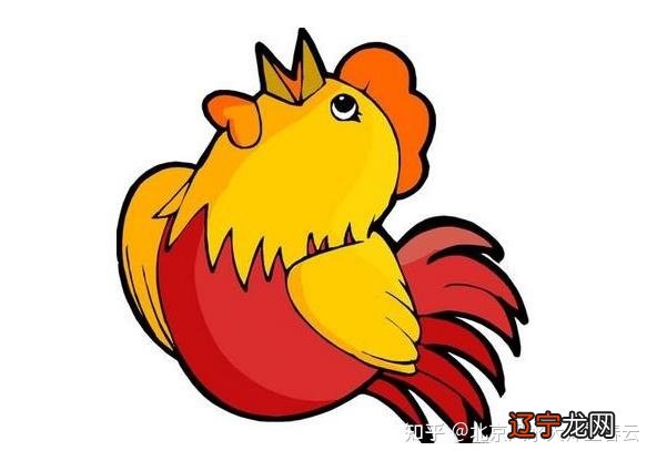 北京算命大师王春云老师是怎么说的与属鸡不合的生肖
