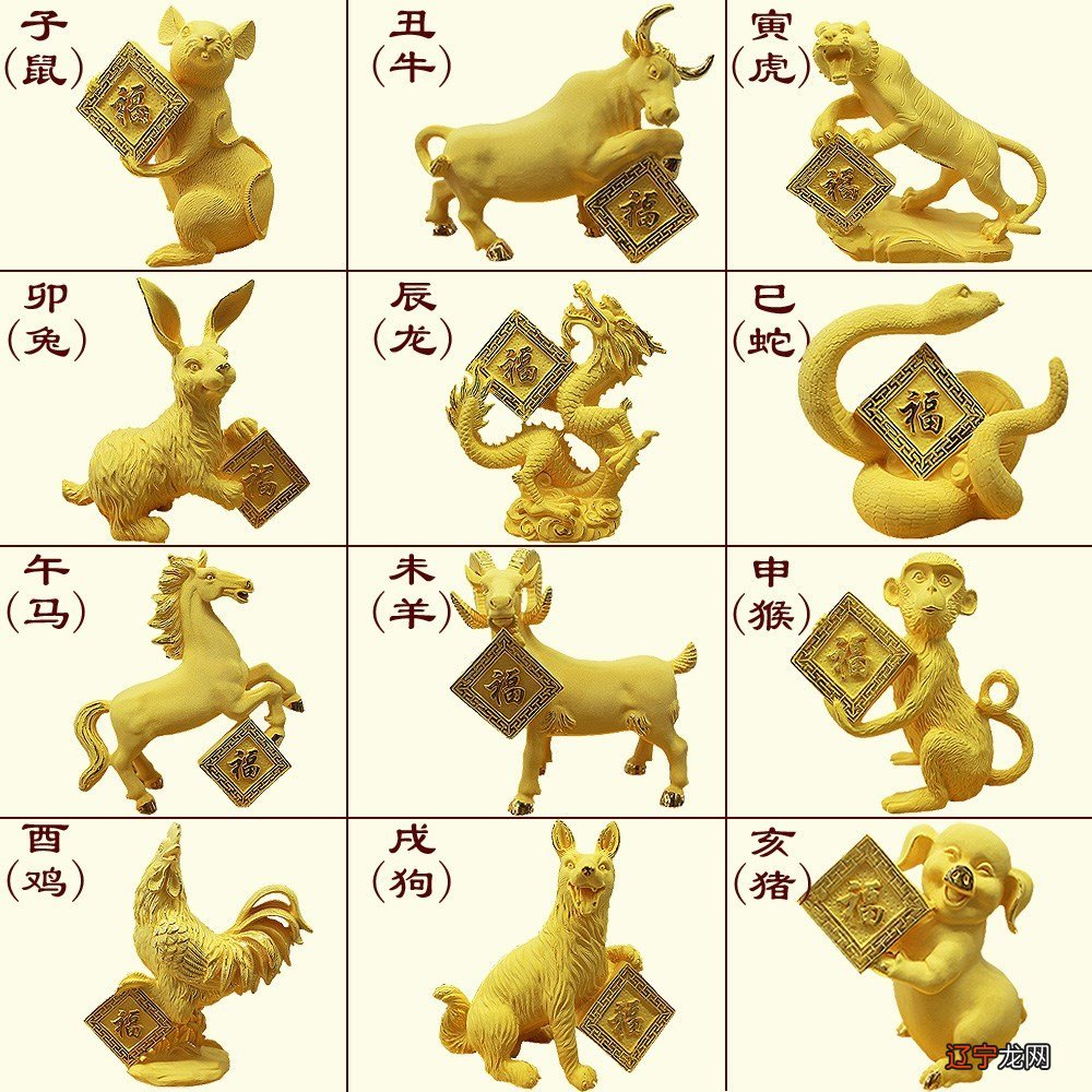 会跳舞,猪冲虎打一生肖_蛇冲猪无哪个生肖_属猪生肖相冲