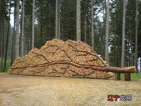 木命人要注意哪些事情人应该注意的事情吗?