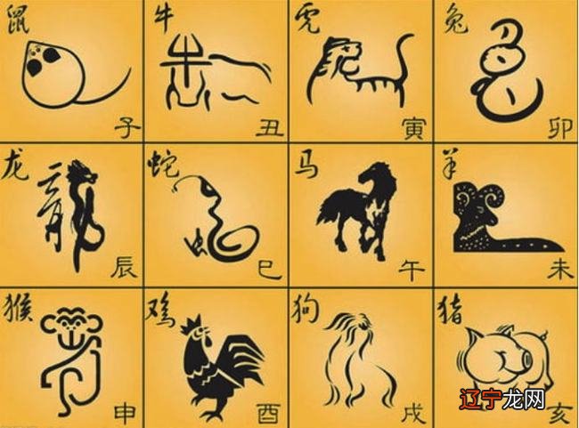 生肖流年运势表怎么看 非常说日:11月12日——2015年12月10日