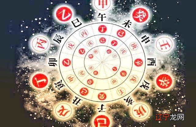 辛金生于巳月命理解说