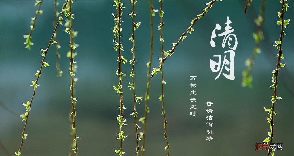 每年的清明节是几月几号 清明节在每年的哪一天