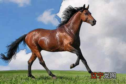 属马的今年多大 2015年属马的人多大？