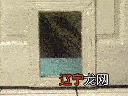 组图 梦见养猫是什么意思?做梦好不好的梦境解析