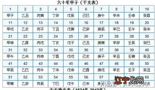 命理学入门3十神五行