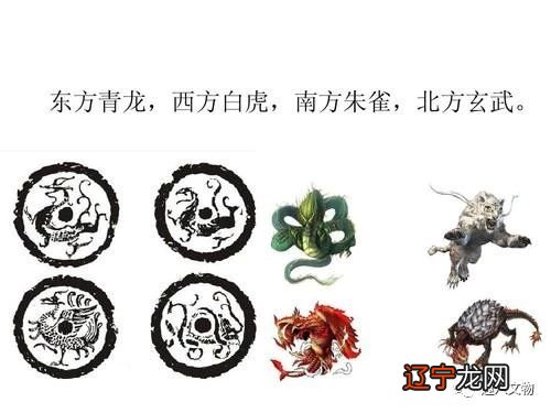 地支、六神、六亲、归宫 六爻装卦知识