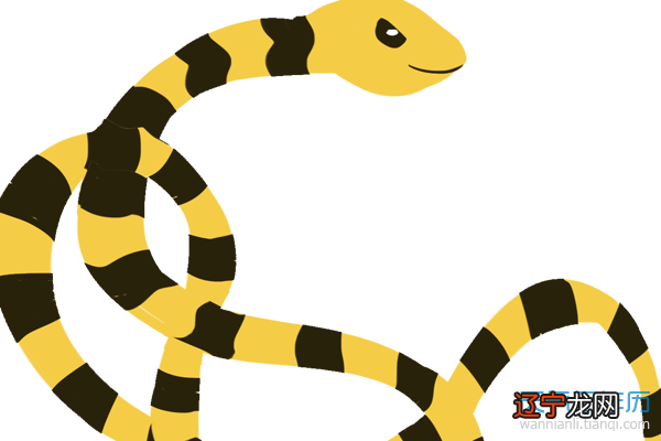 属蛇的今年多大2016年