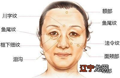 女人法令纹深面相图解大全