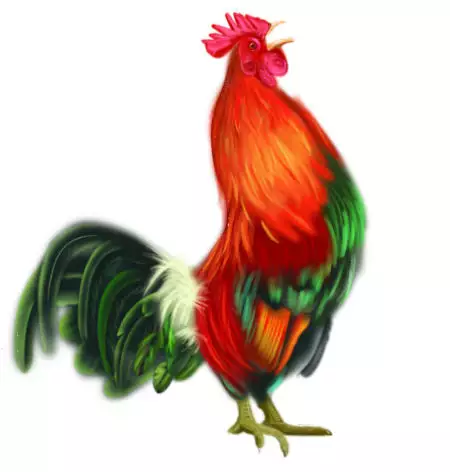 属鸡的和什么属相最配、相克，属鸡与什么属相相克，相配