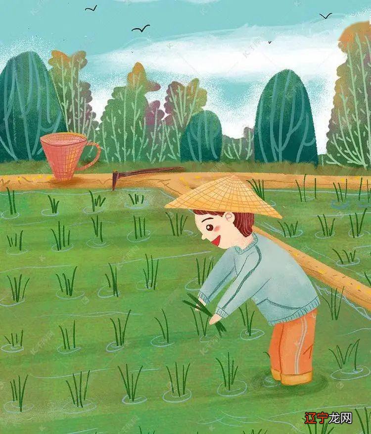 2021芒种是哪天?2021芒种节气农历几月几时?芒种是阴历的哪一天