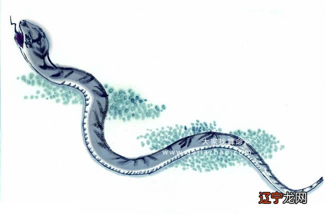 属蛇2020年运势及运程_2020年属蛇人的全年运势