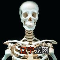 骨相学 千人千面千风水,一眉一相一人生