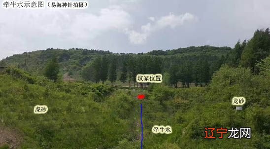 水随天去秋无际_风水学的随龙水_国家开放大学随学随考网址