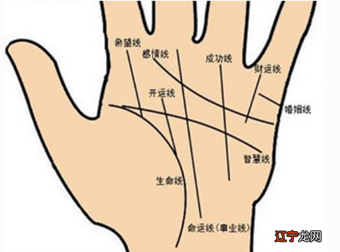 看手掌纹算命准吗 手掌纹看命是真是假