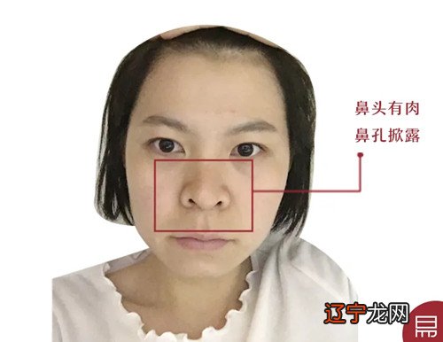 手相面相看你今生能否发大财心生,鼻子为财帛心生