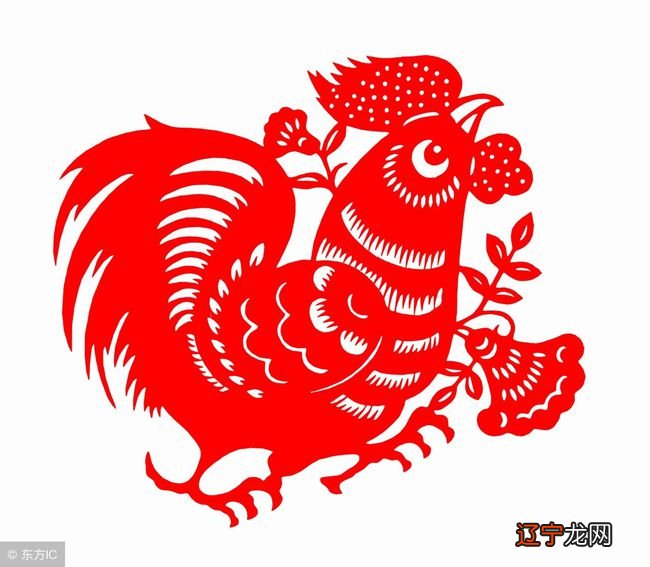 属鸡人出生时辰的命运