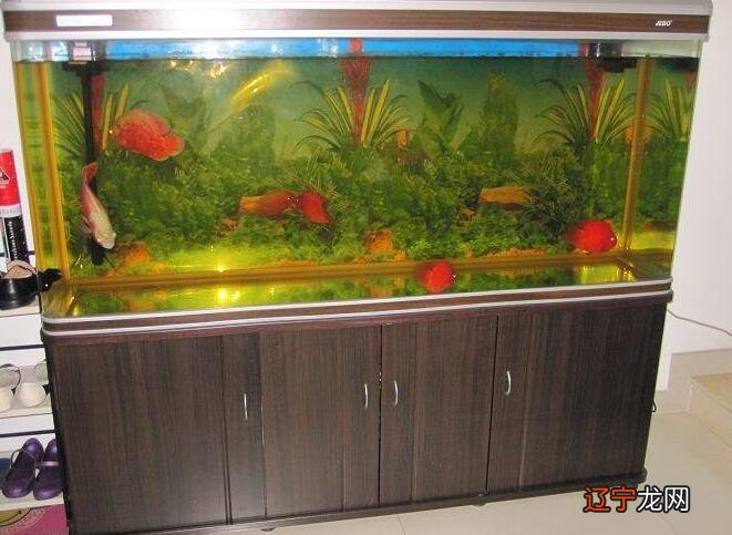 图 慈世堂:办公桌可以养鱼吗?风水知识