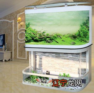 图 慈世堂:办公桌可以养鱼吗?风水知识