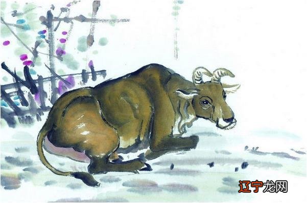 生肖属牛的人，稳住！稳住！好事成双来，9月中旬有特大“惊喜”！