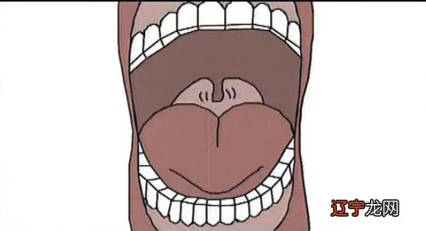 峰生水起面相口诀_风水面相学口诀_面相口诀耳垂