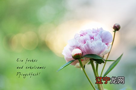 周易手机号码:铜钱筮法,相传是战国时鬼谷子所创