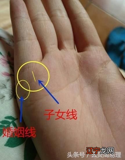 没有事业线的手相 手相没有事业线代表什么