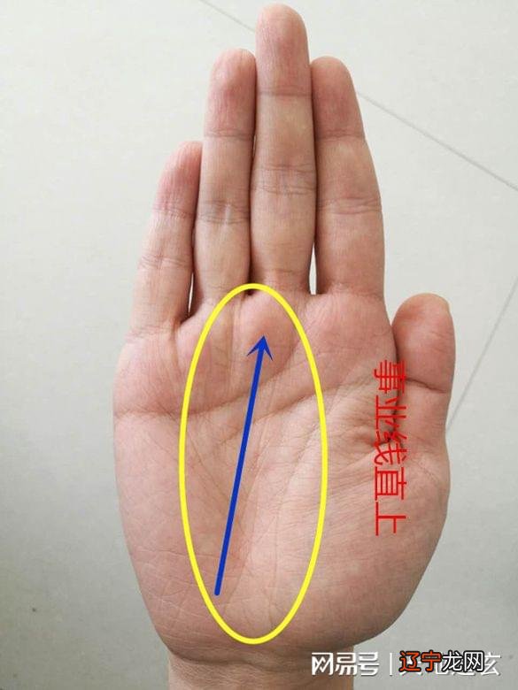 手相算命 几乎没有事业线