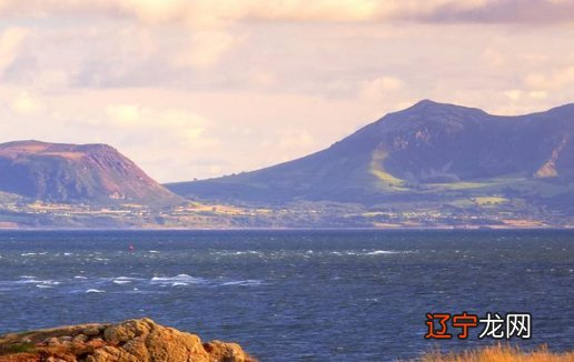 2021年5月属兔的人运势是怎么样的生肖