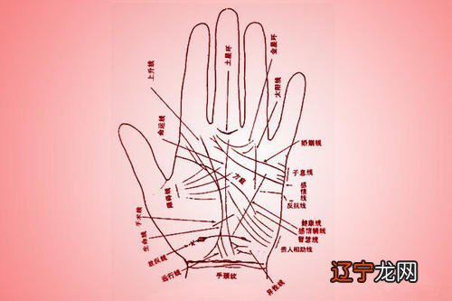 事业线 手相 事业线