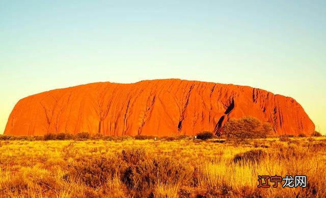 戊土人优点和弱点都十分明显,辨识度很高