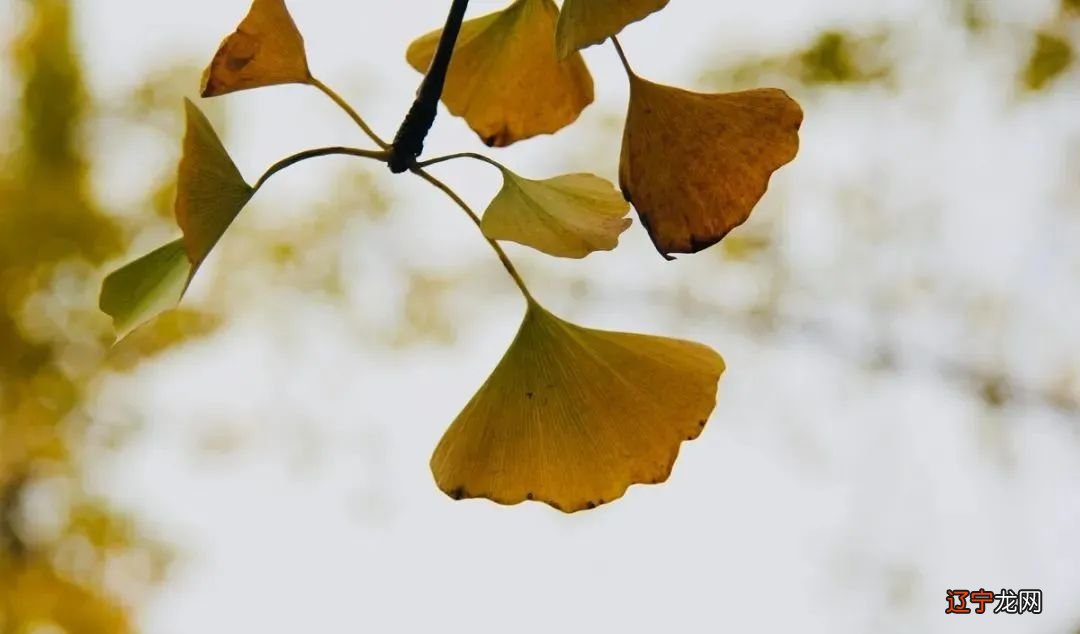 如何从四柱八字结合大运看出某流年会发生什么事