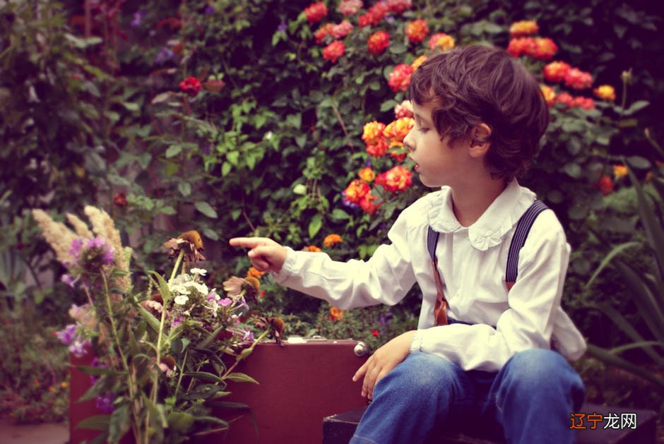 组图 温柔文静的宝宝起名：男孩鸣凯宝宝名字解析