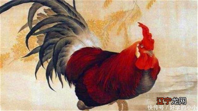 俗语“男怕属鸡，女怕属羊”，是何意思真正含义是什么