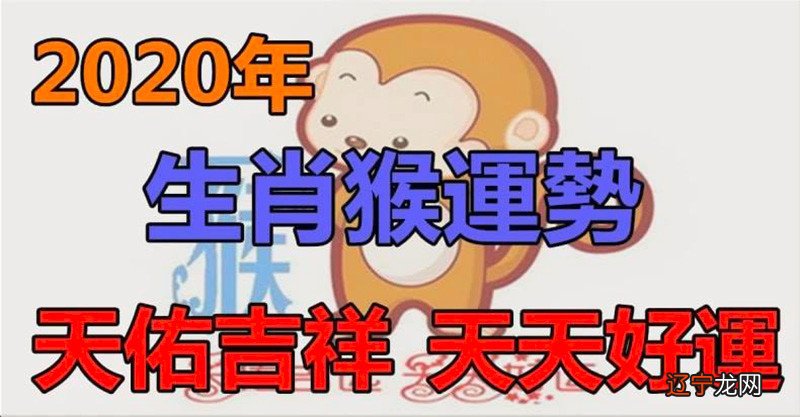 6月份出生的属猴的人命运