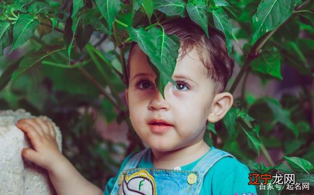 清冷疏离的小众男孩名,自然又高级