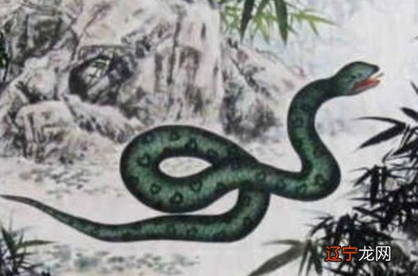 属蛇的朋友们,知道你们出生在几月份最苦命吗?