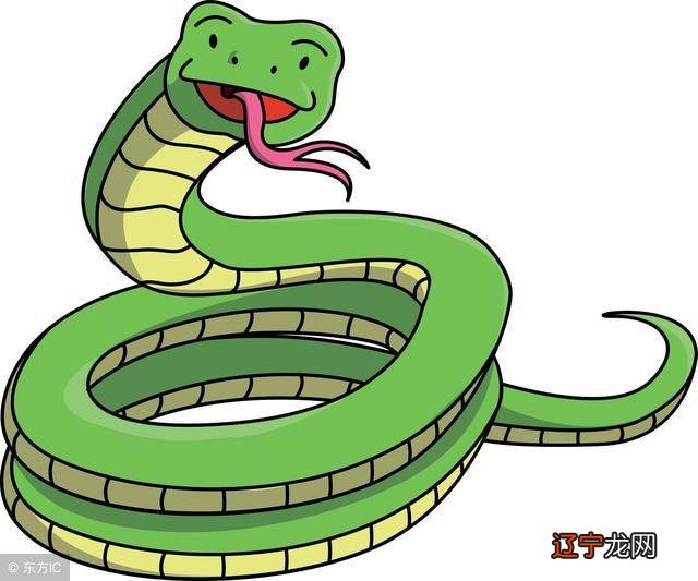 属蛇的朋友们,知道你们出生在几月份最苦命吗?