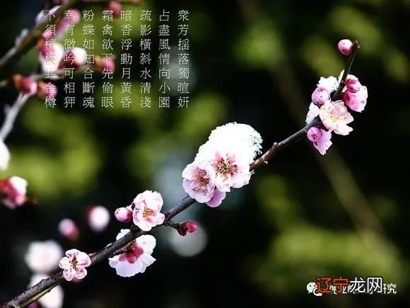 风水堂:八字印重而杀轻的八字