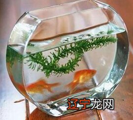 风水堂:生日运势对你不但没有好处