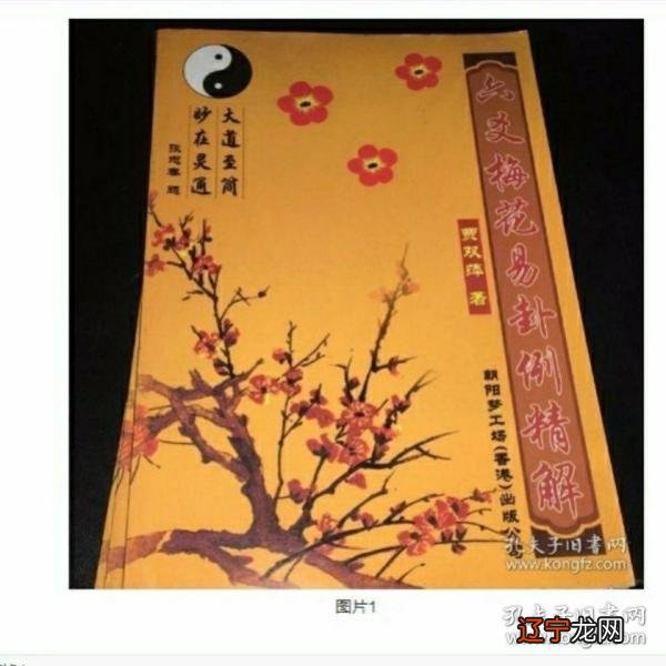 梅花易数 解卦绝招