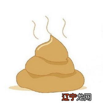 梦见拉粑粑是什么意思_梦见自己来月经拉粑粑_梦见自己拉干粑粑