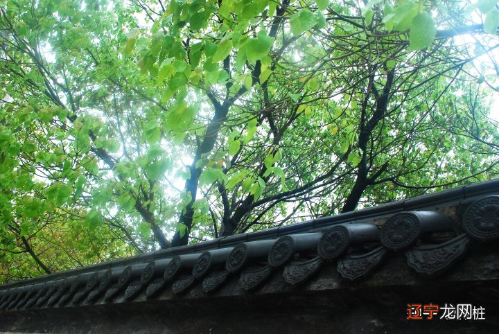 图 站桩中如何才能让生命实现阴阳自和？