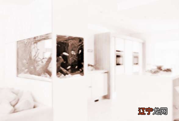 慈世堂:家中养鱼的6大风水,你知道吗?