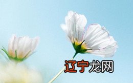 周易算命测婚姻,批八字测你的婚姻运势吧